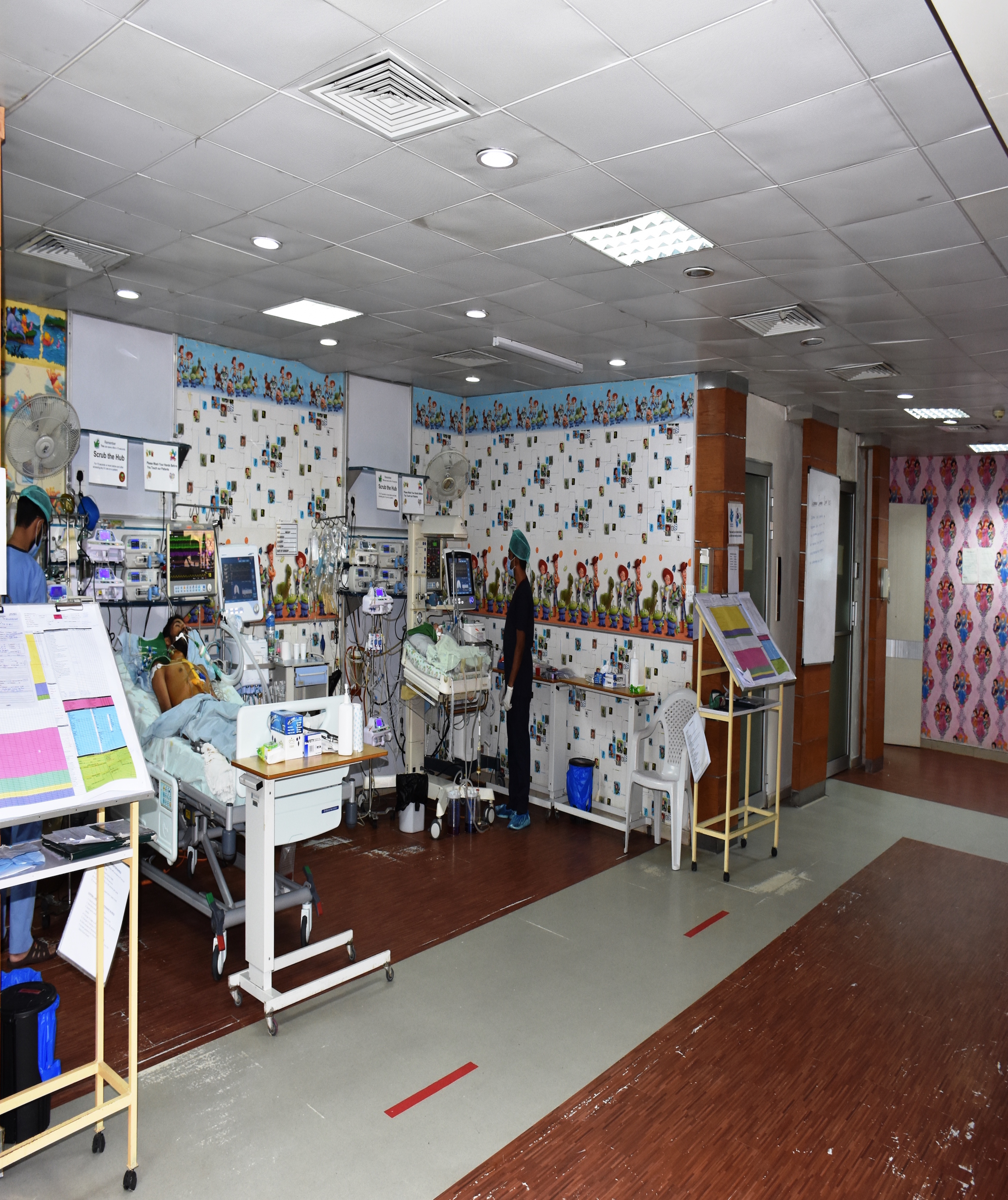 Paediatric Cardiology