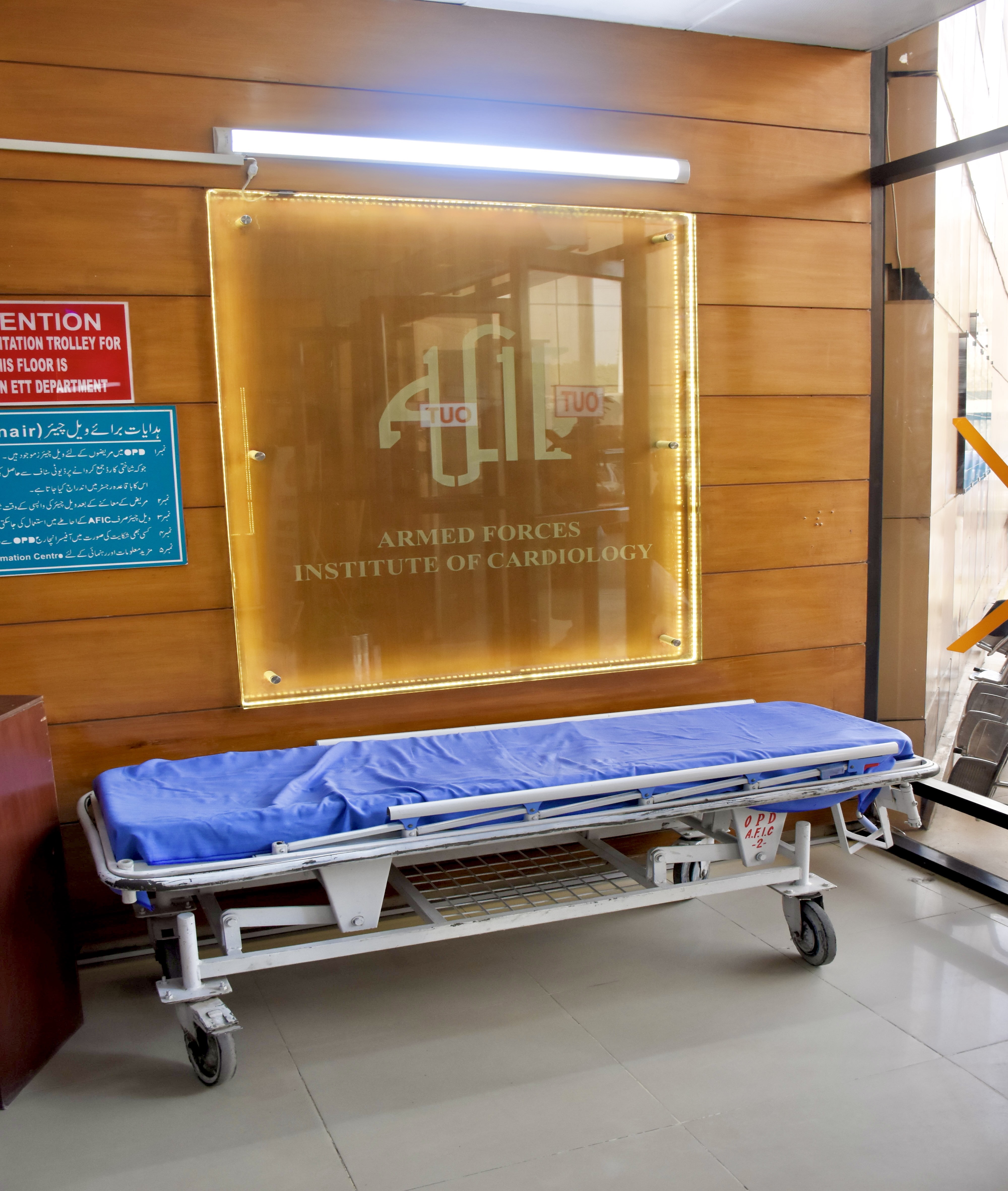 Stretcher and Wheelchair