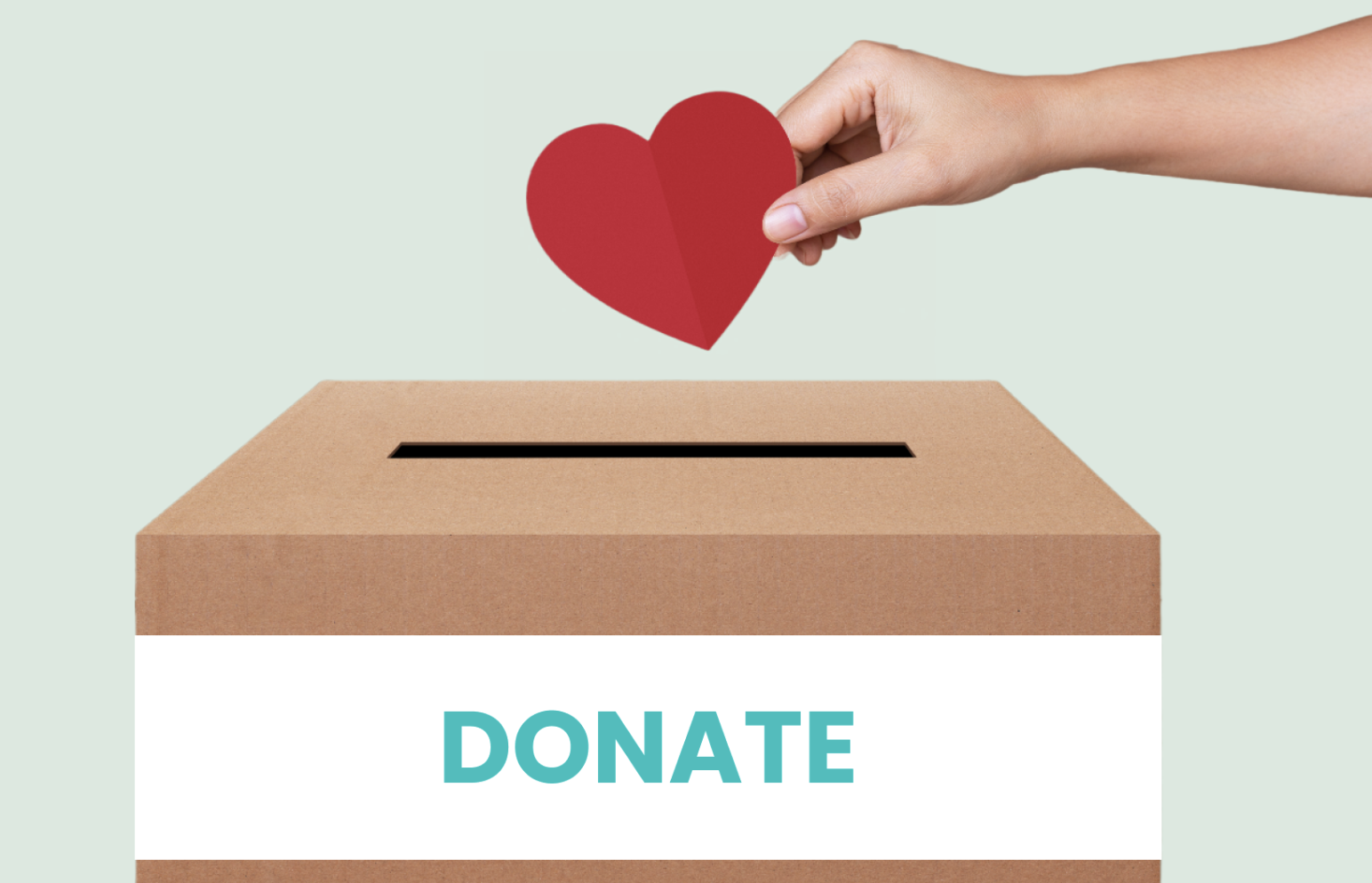 Donation Fund